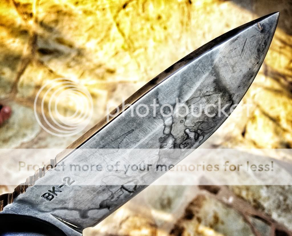 f7ff96d5.jpg