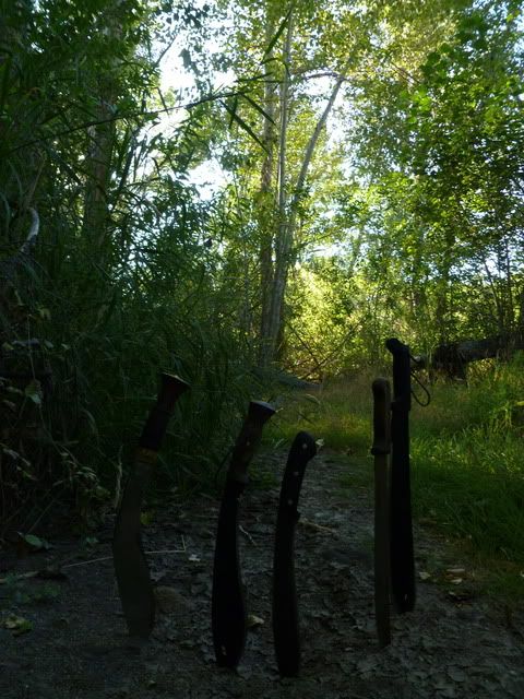 P1010043.jpg