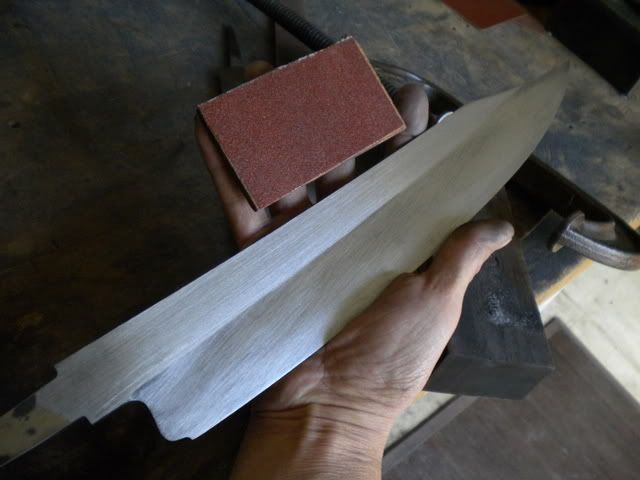 DSCN2664.jpg