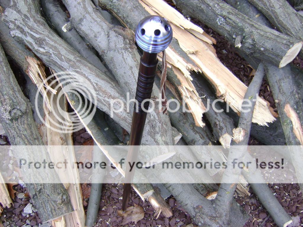 crwalkingstick004.jpg