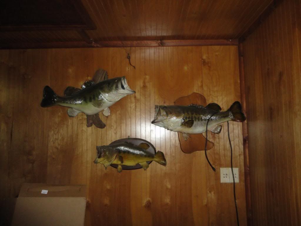DSC01219.jpg