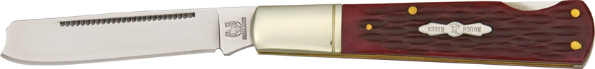 RR307.jpg