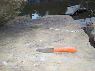 100_7660.JPG