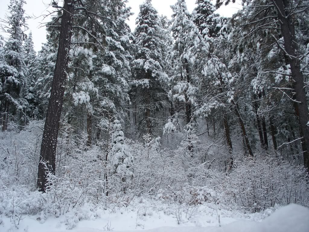 045-2.jpg