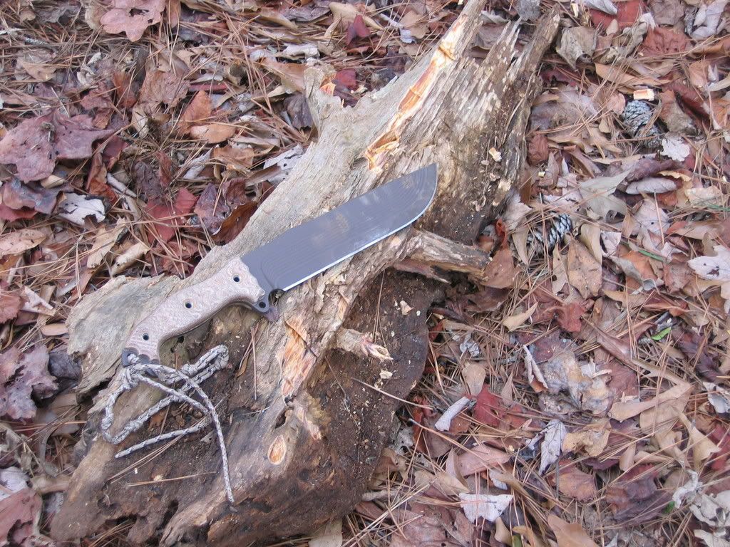 FatStump.jpg