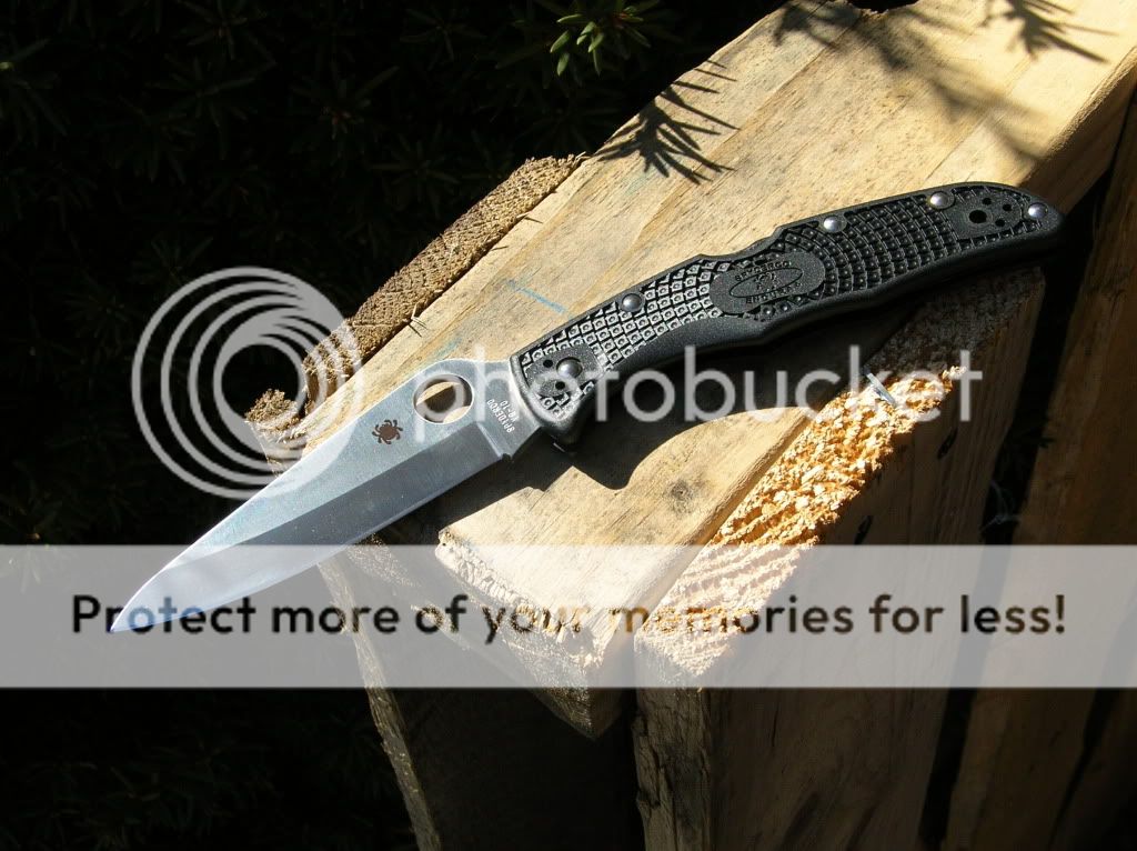 DSCN2357.jpg