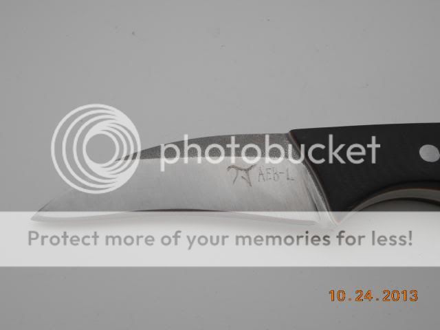 DSCN0458.jpg