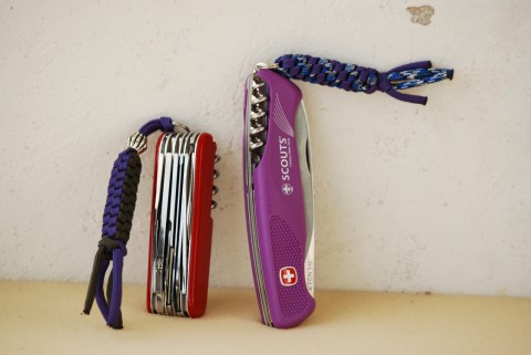 dsc_1076-Handyman-and-Scout-480x321.jpg
