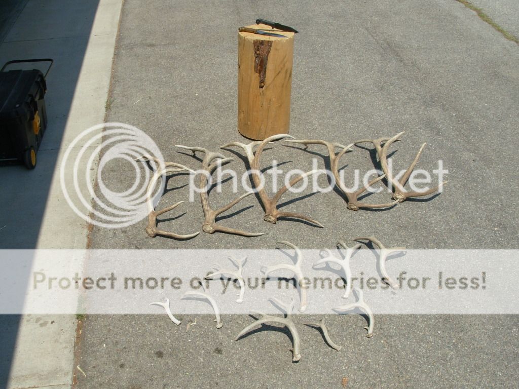 DSCN0016.jpg