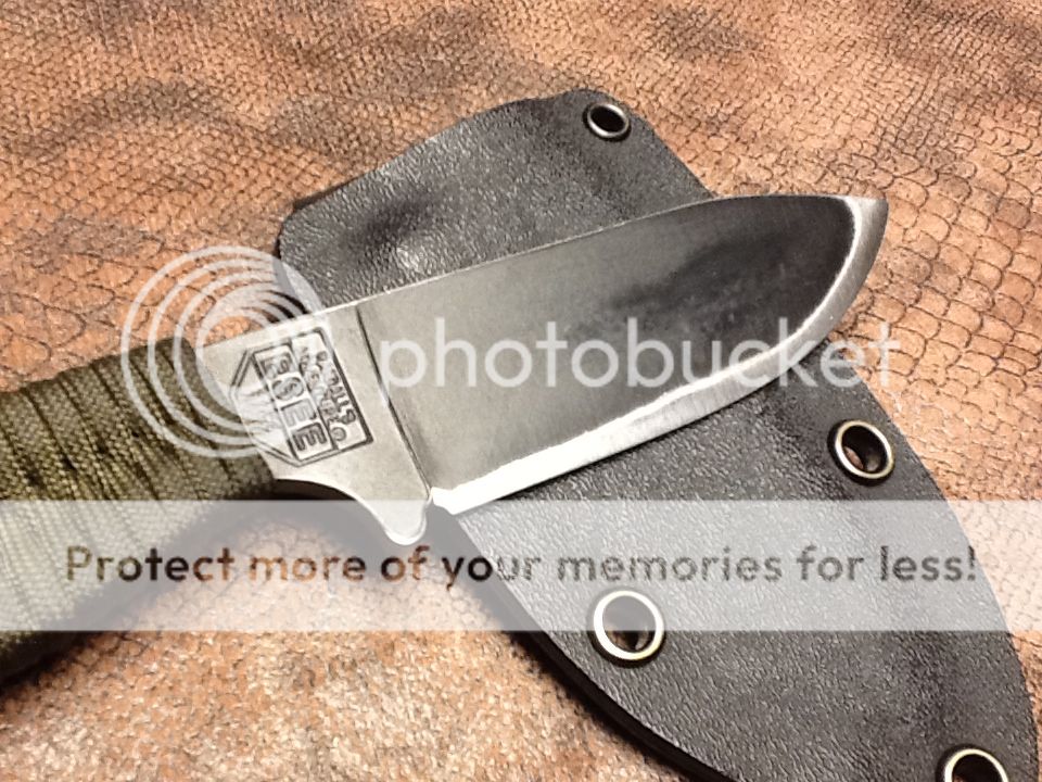1939f0a06b4fbf9b9927916b14b03efa.jpg