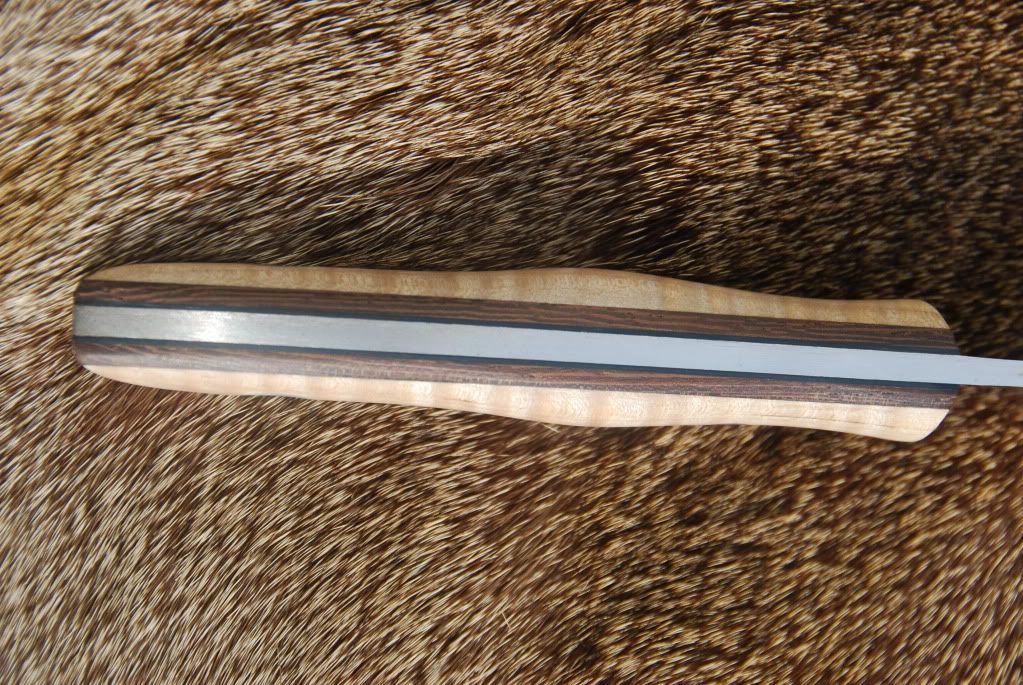 Fiddleback020.jpg