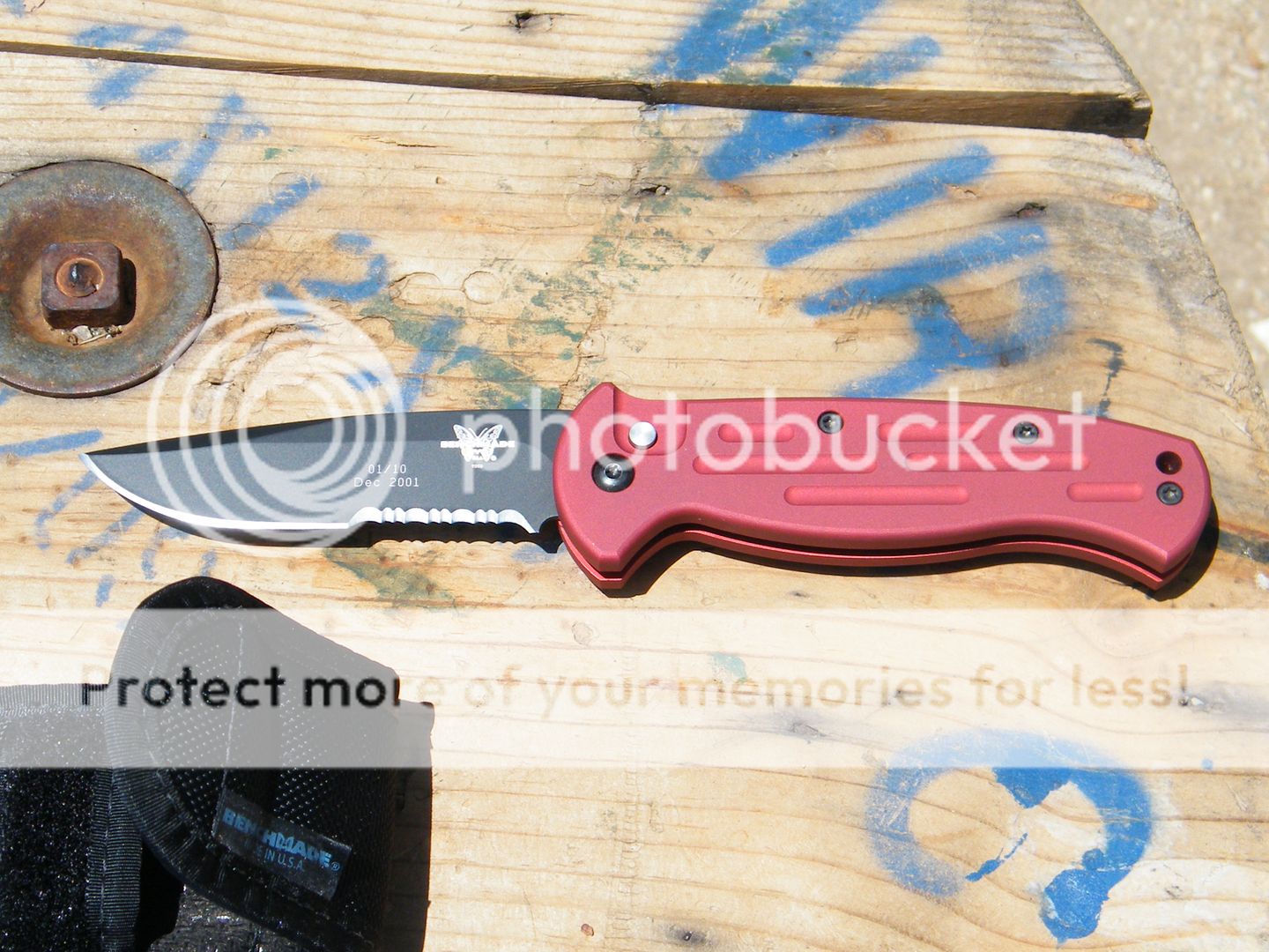 DSCF9208.jpg