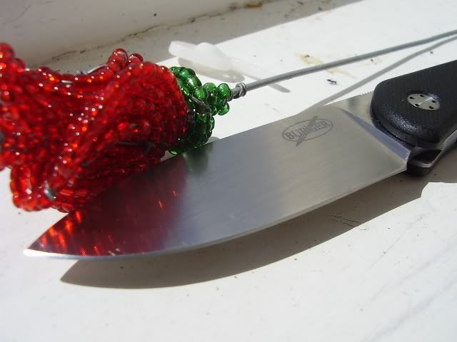 P7240004.jpg