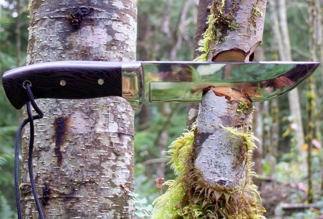 standing_tree.jpg