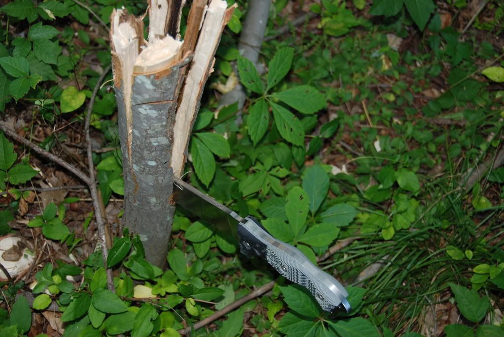 Busse078.jpg