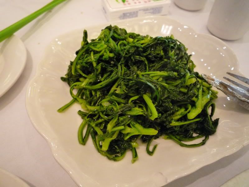 P1020710.jpg