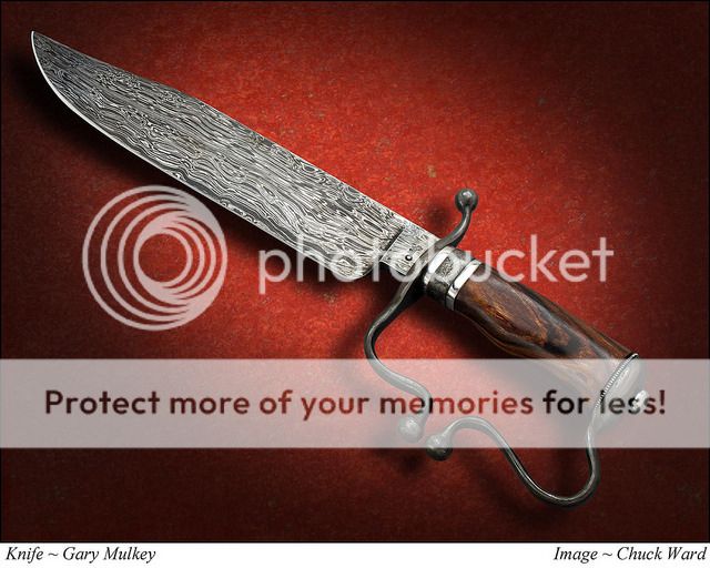 D-Guard_zpsnyamdzfd.jpg