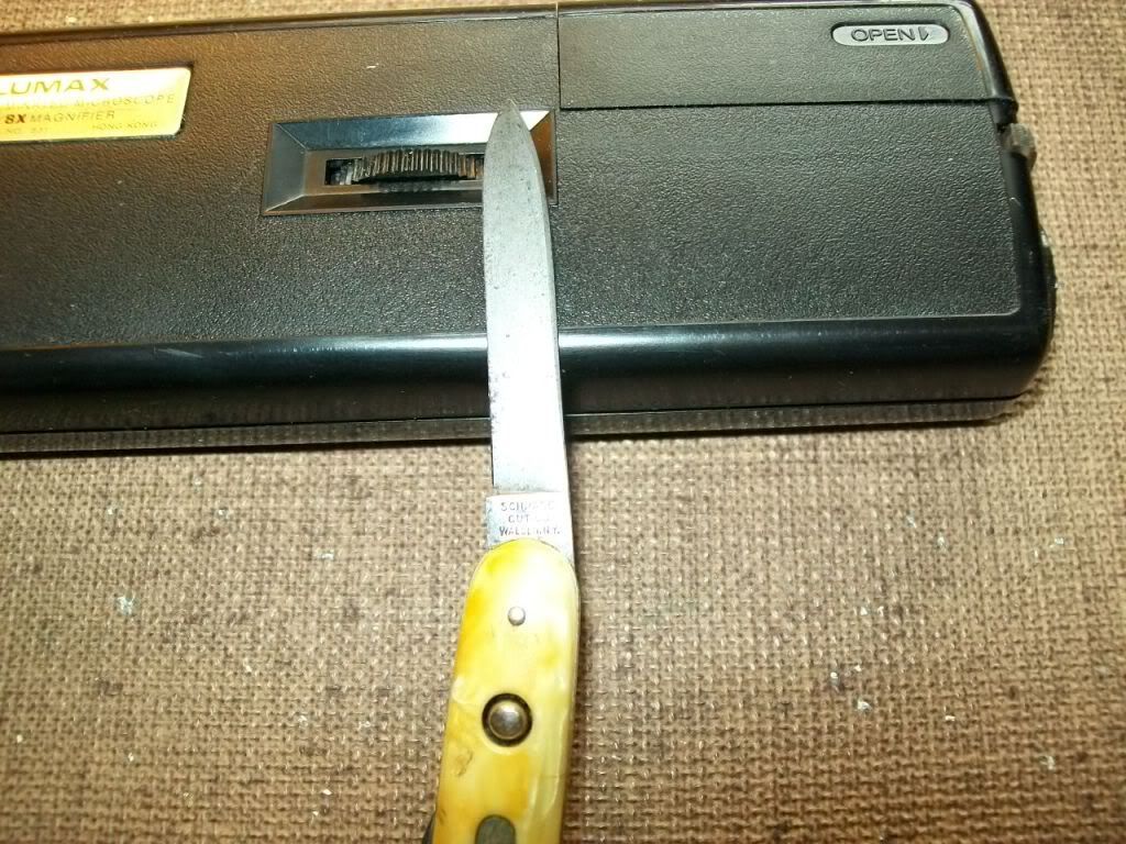 100_0786.jpg