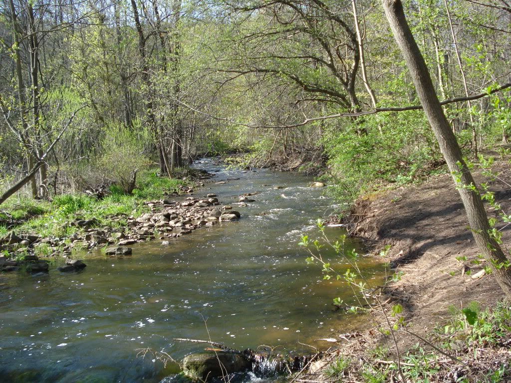 DSC01018.jpg