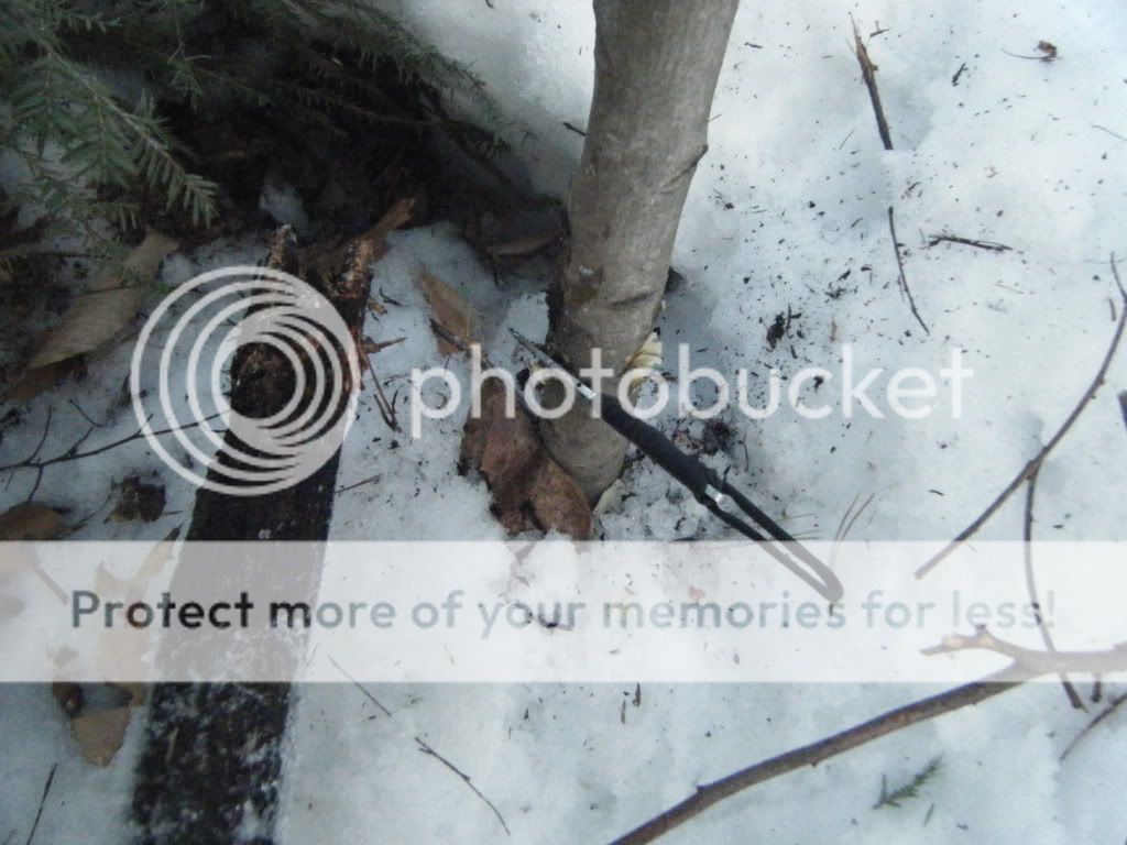 DSCF4607.jpg
