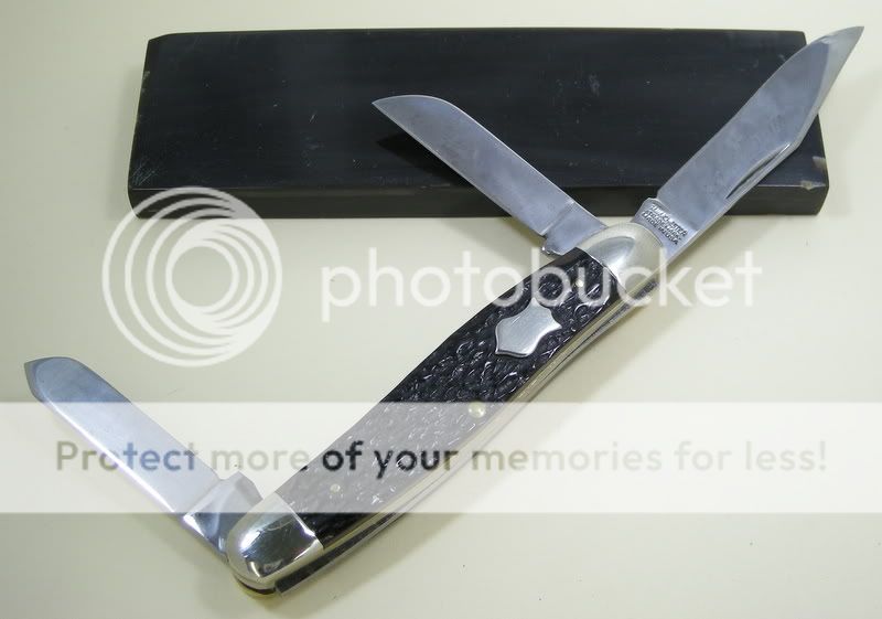 DSCN1684.jpg
