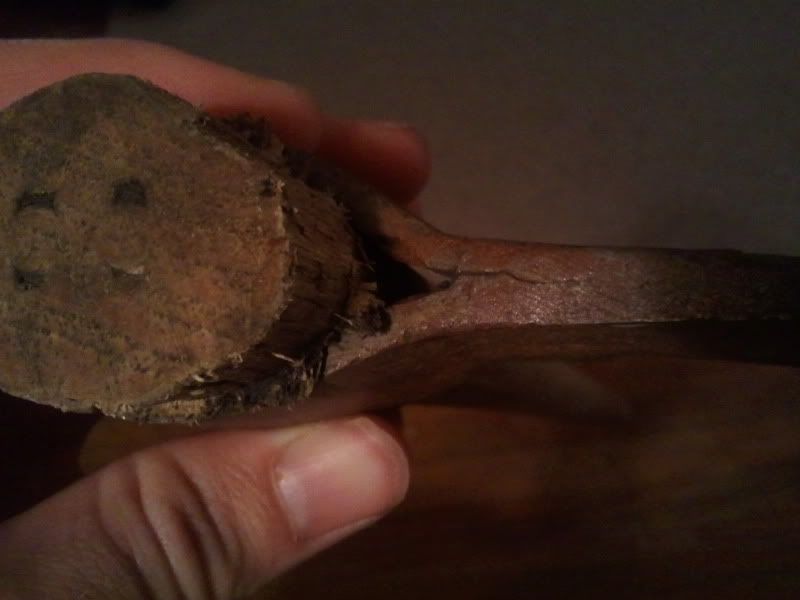 2012-01-13234431.jpg