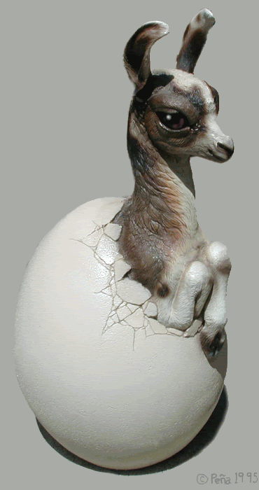 hatch_llama_gry_bkgrnd.gif