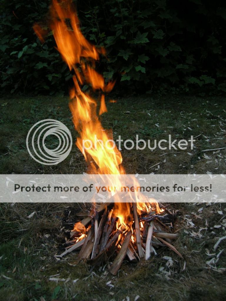 FireContest061.jpg