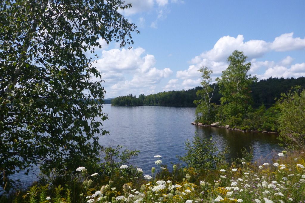 P1030264.jpg