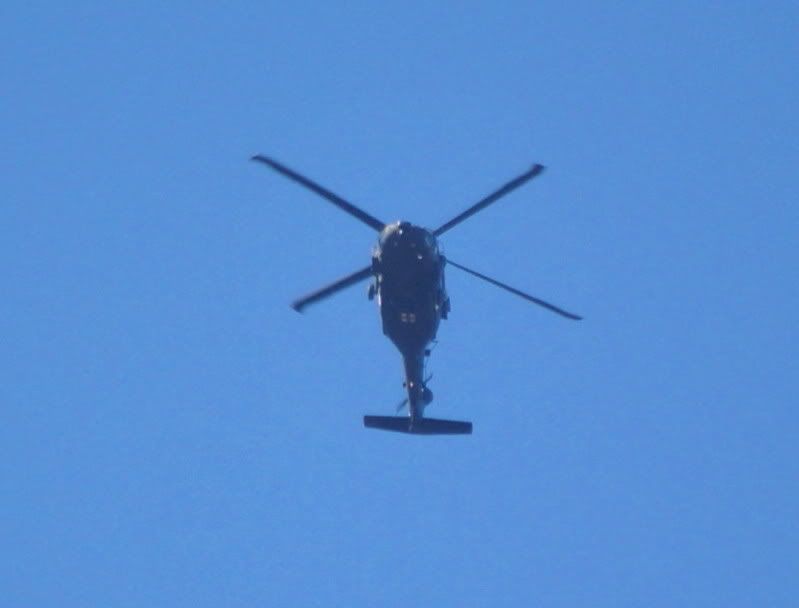 DSC_0133.jpg