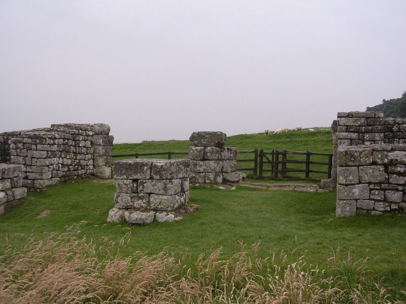 DSCN4453.jpg
