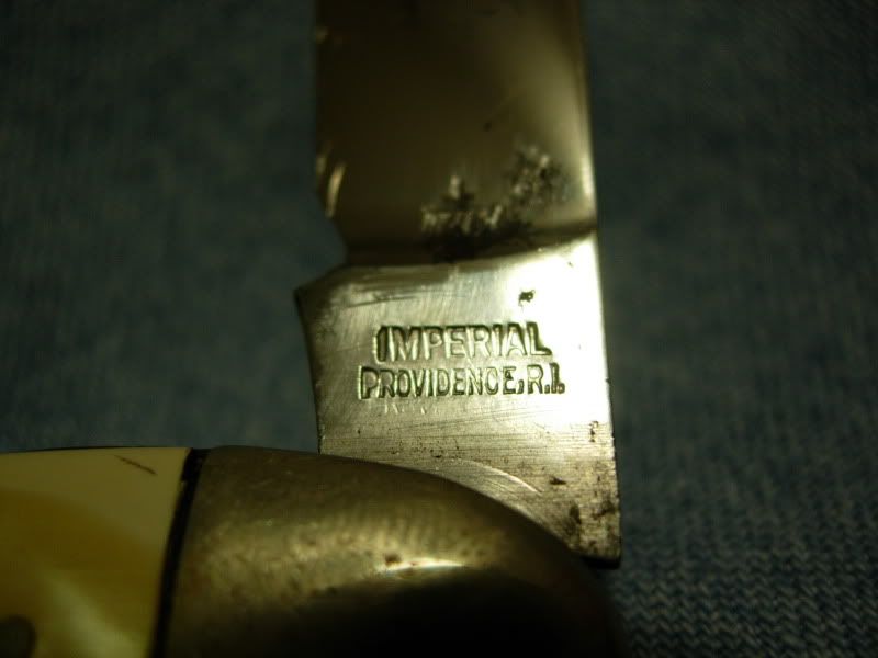 DSCN5948.jpg