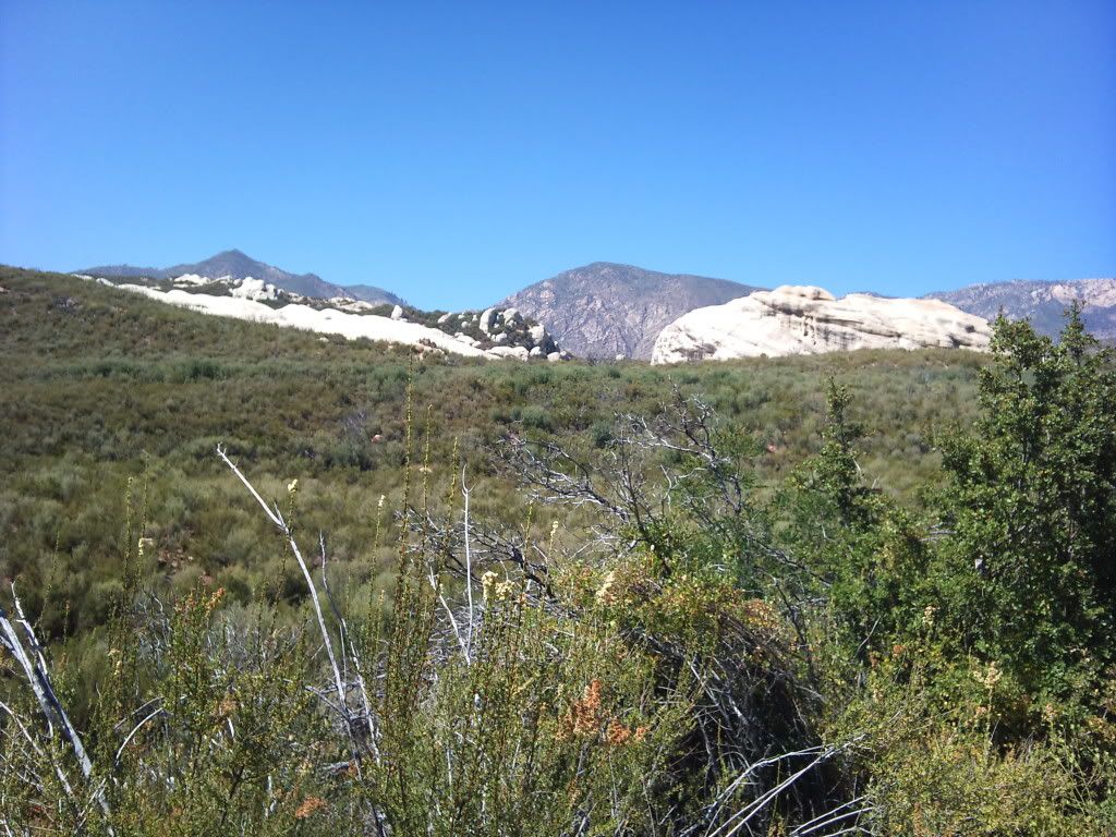 2011-08-09151035.jpg