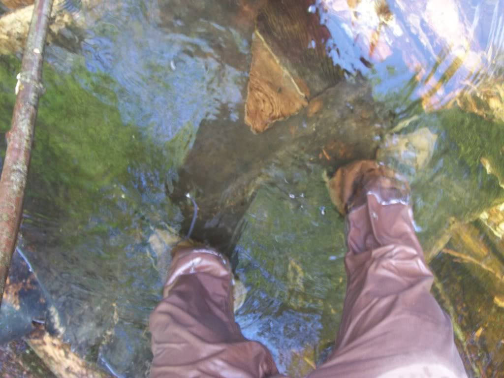 100_0463.jpg