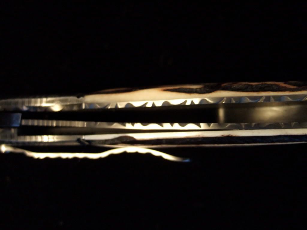DSCF7422.jpg