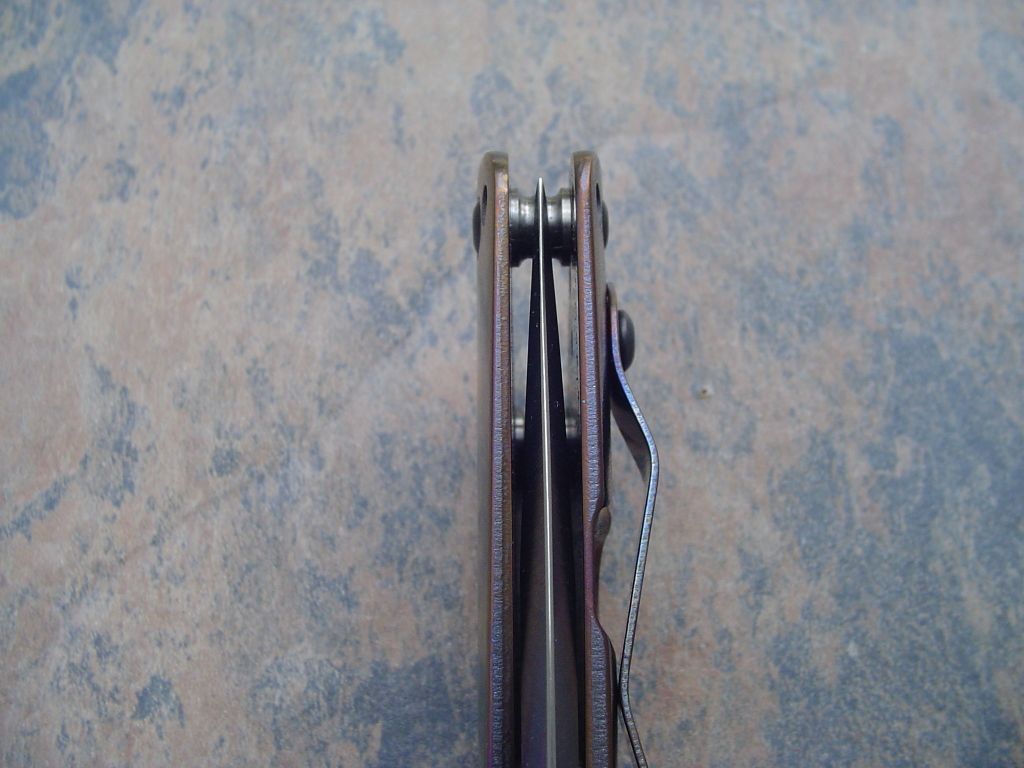 DSC04891.jpg