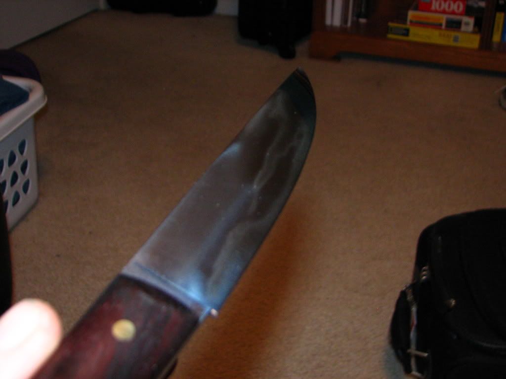 IMG_1262.jpg