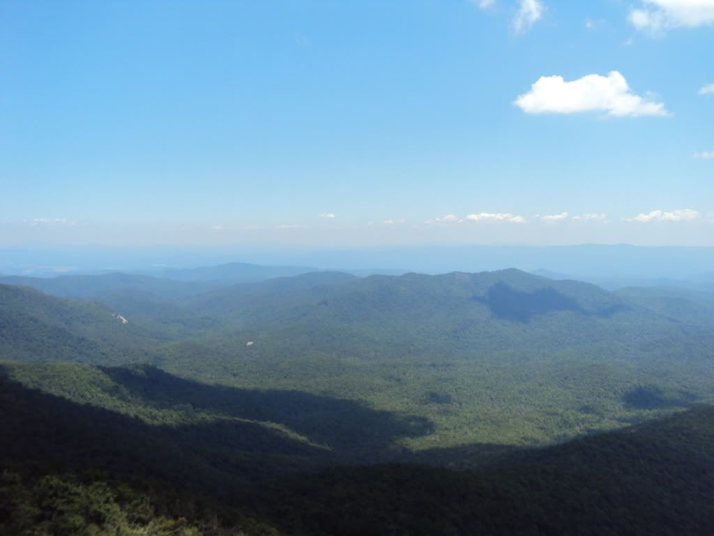 DSC00694.jpg