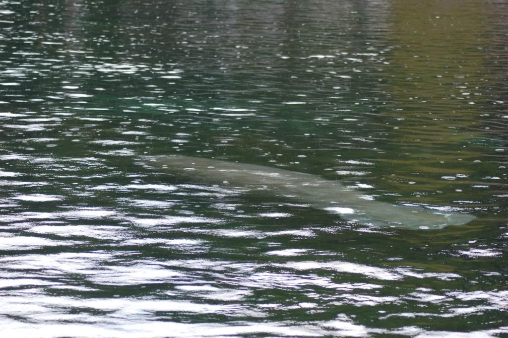 DSC_0102.jpg