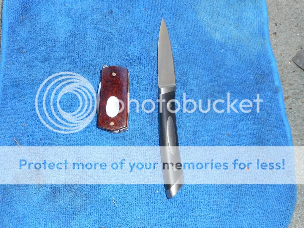 001-2.jpg