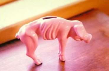 skinnyhog-1.jpg