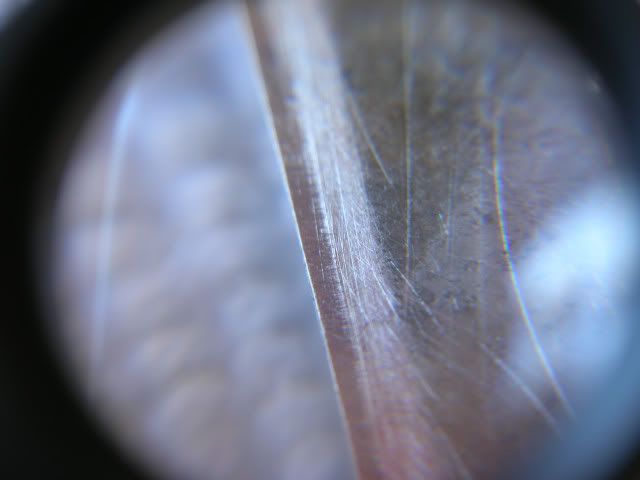 DSCN10930001.jpg