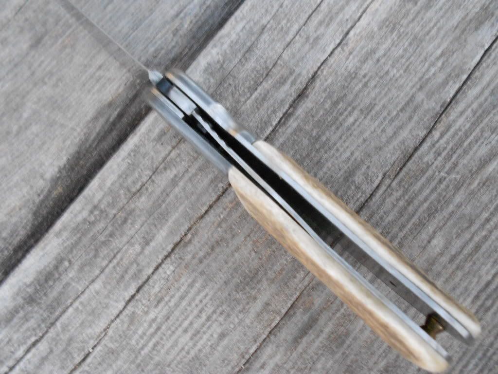D2PereDavidlinerlock010.jpg