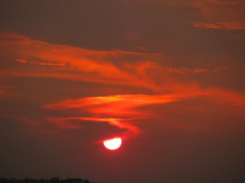 Picture017-1.jpg
