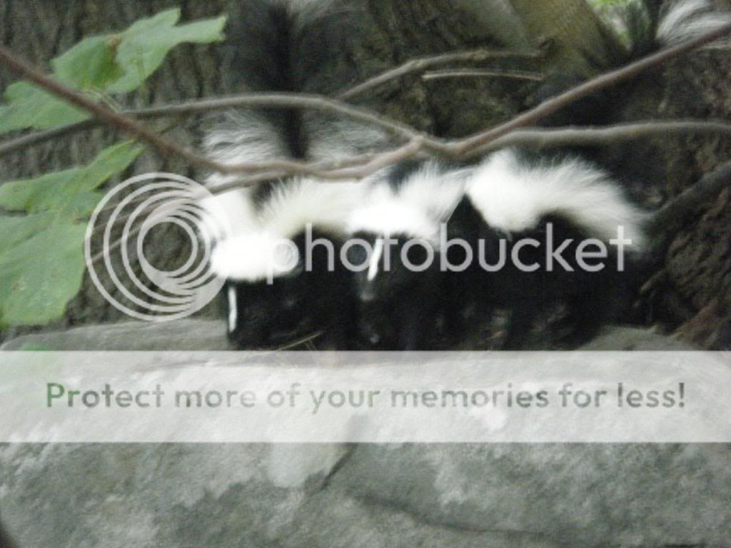 DSCF0872.jpg