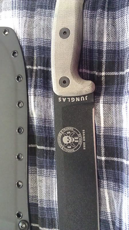 IMAG0073.jpg