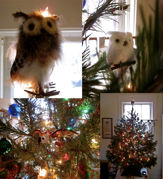 TreeDownDay.png~original