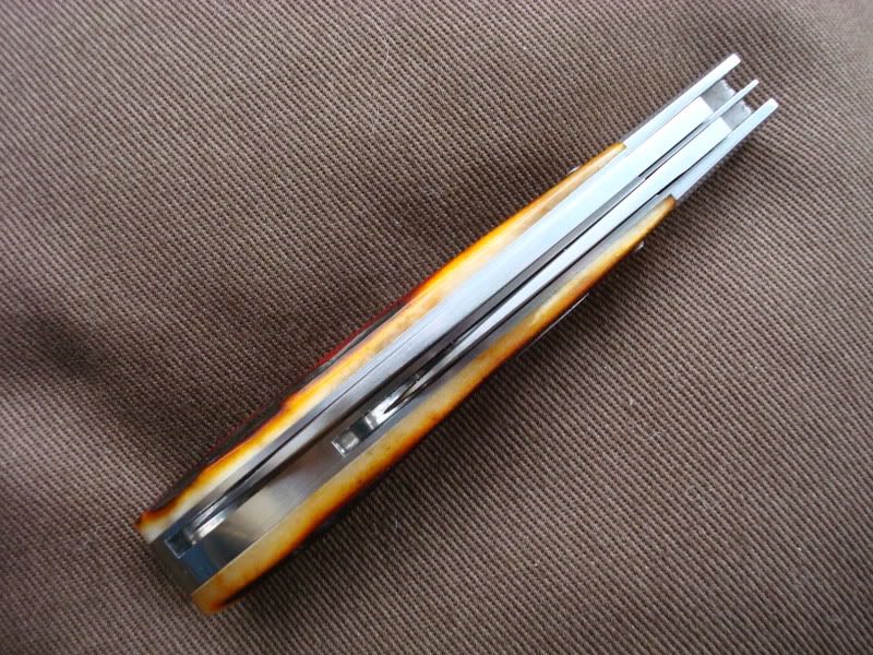 DSC01777.jpg