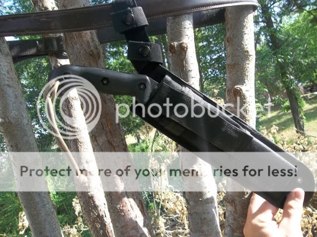 100_1893.jpg