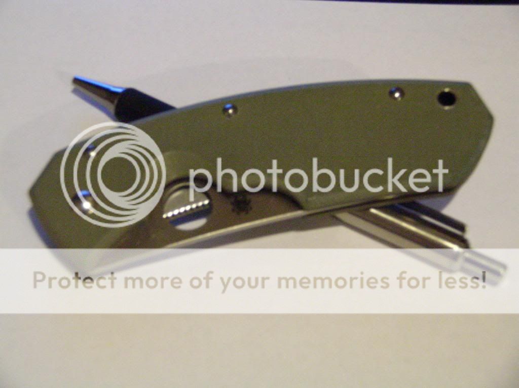 DSCN1590.jpg